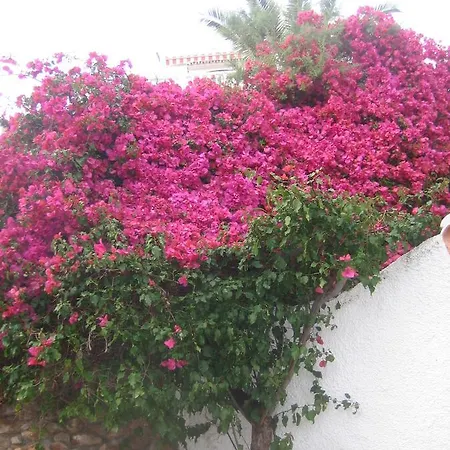 Carabeo 2000 3.1 Apartment Nerja Exterior photo