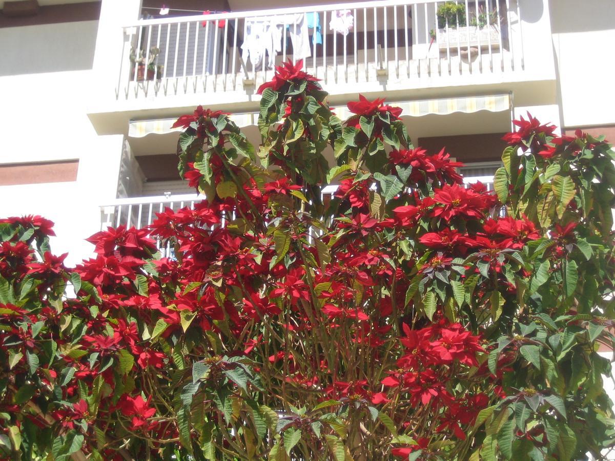 Carabeo 2000 3.1 Apartment Nerja