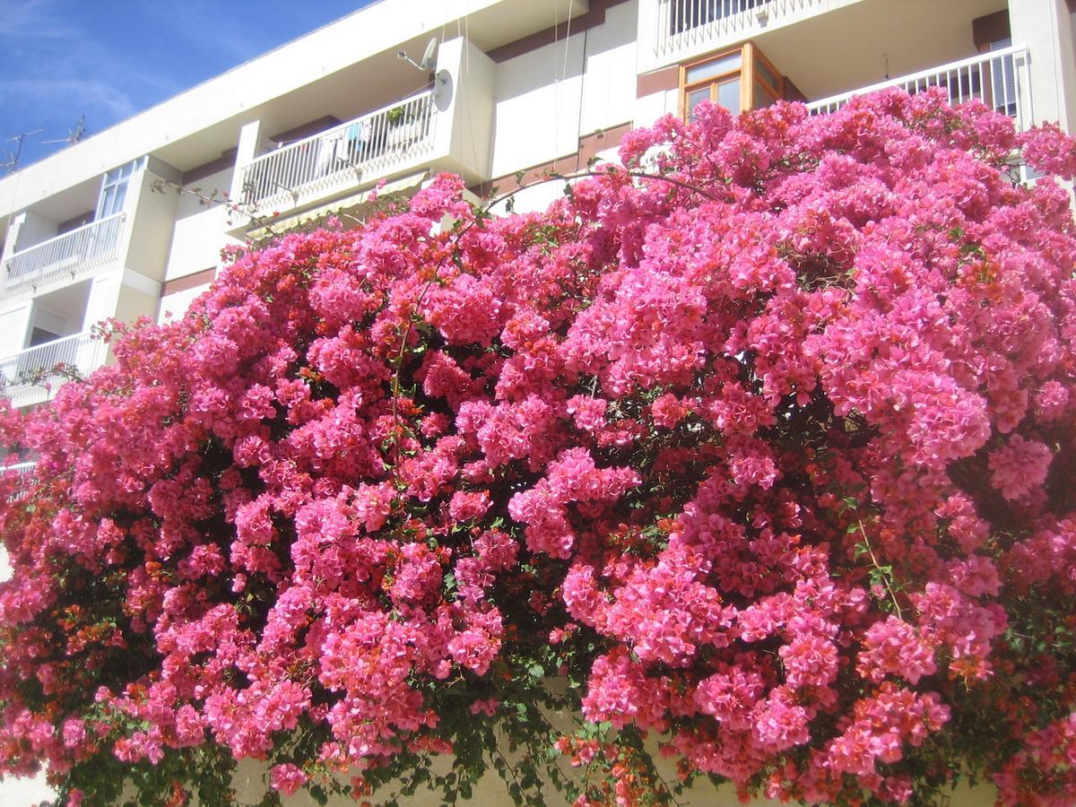 Appartamento Carabeo 2000 3.1 Nerja